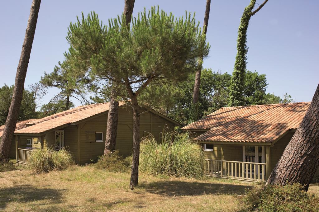 Village Vacances La Foret Des Landes Tarnos Exteriör bild