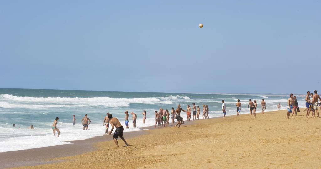 Village Vacances La Foret Des Landes Tarnos Exteriör bild